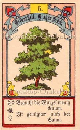 Der Baum ist Ihr Singlehoroskop