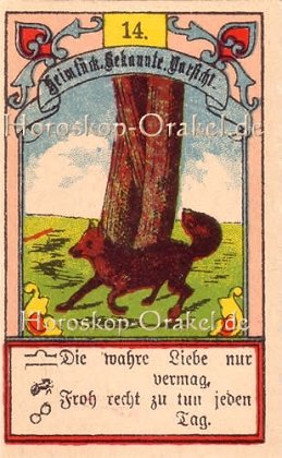 Der Fuchs ist Ihr Singlehoroskop