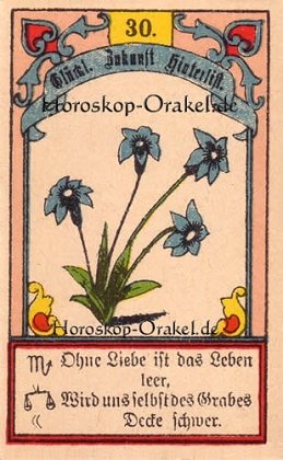 Die Lilien ist Ihr Singlehoroskop