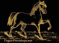 Das Pferd Kabbala Tageshoroskop Frau morgen