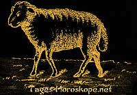 Das Schaf Kabbala Tageshoroskop Frau Heute